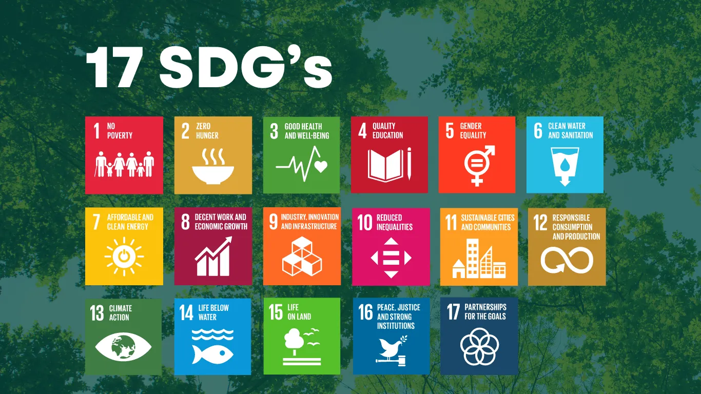 Sustainable Development Goals SDGs 