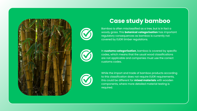 Case study bamboo