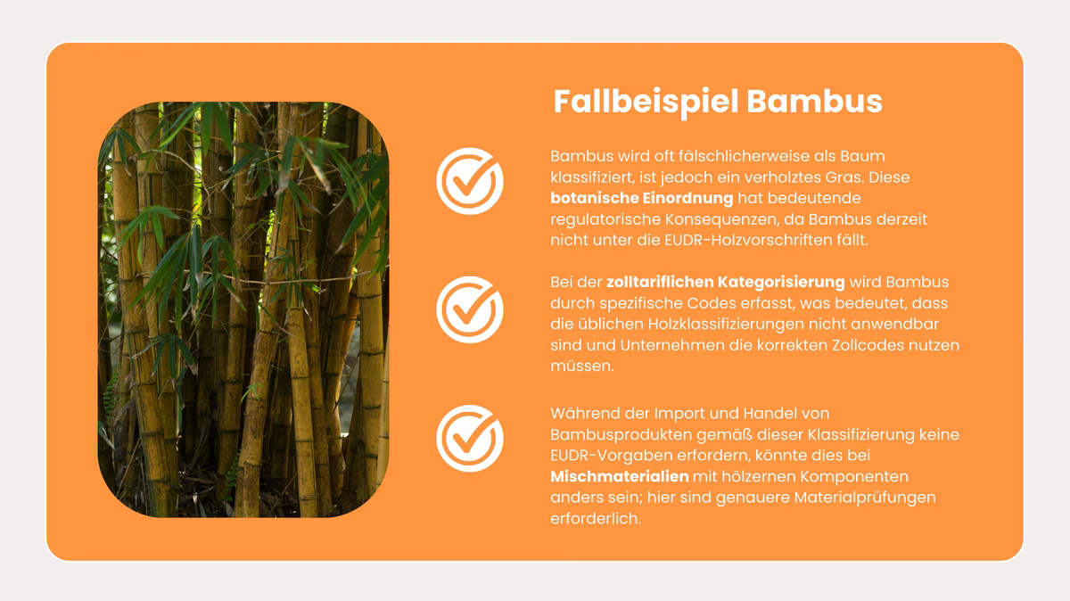 EUDR-Fallbeispiel-Bambus