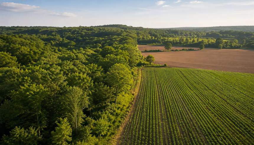 Forest, agricultural land and the legal definition: When does an area fall under the EUDR?