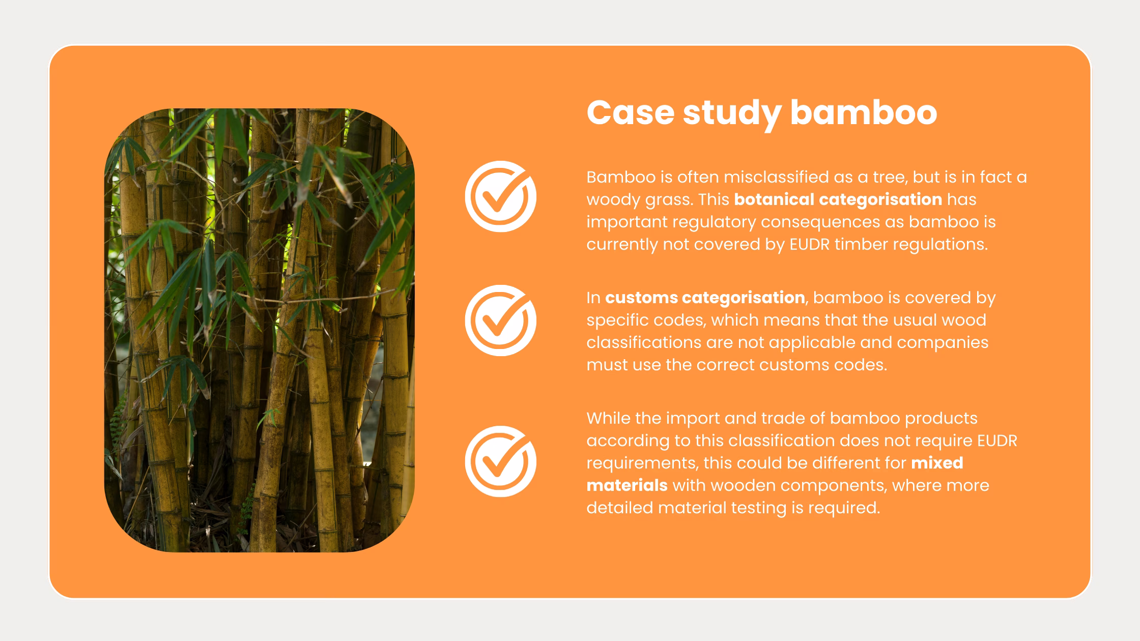 EUDR-case-study-bamboo