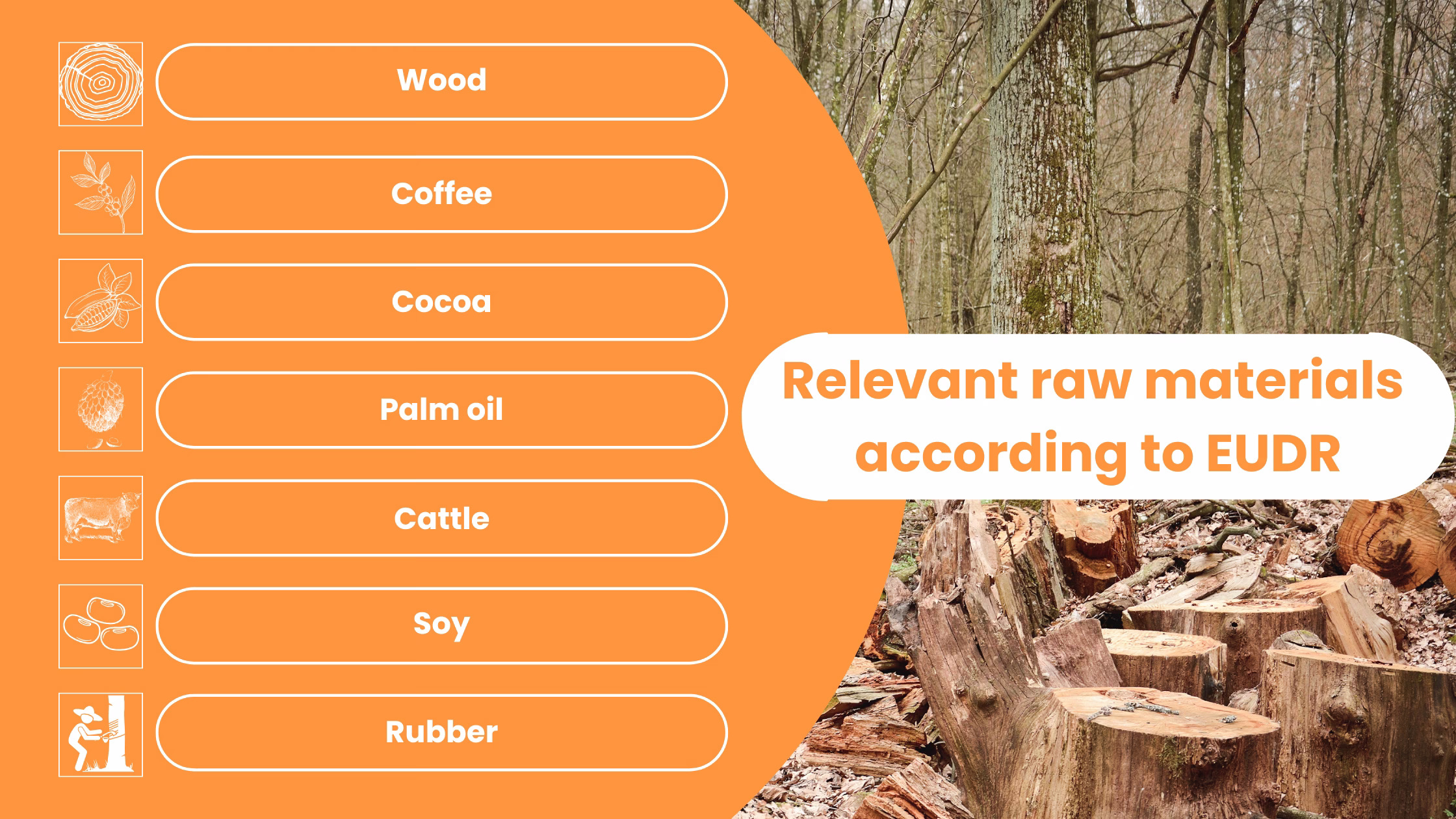 EUDR-raw-materials