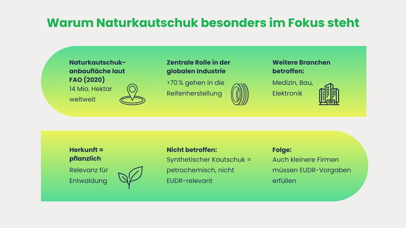 EUDR Kautschuk