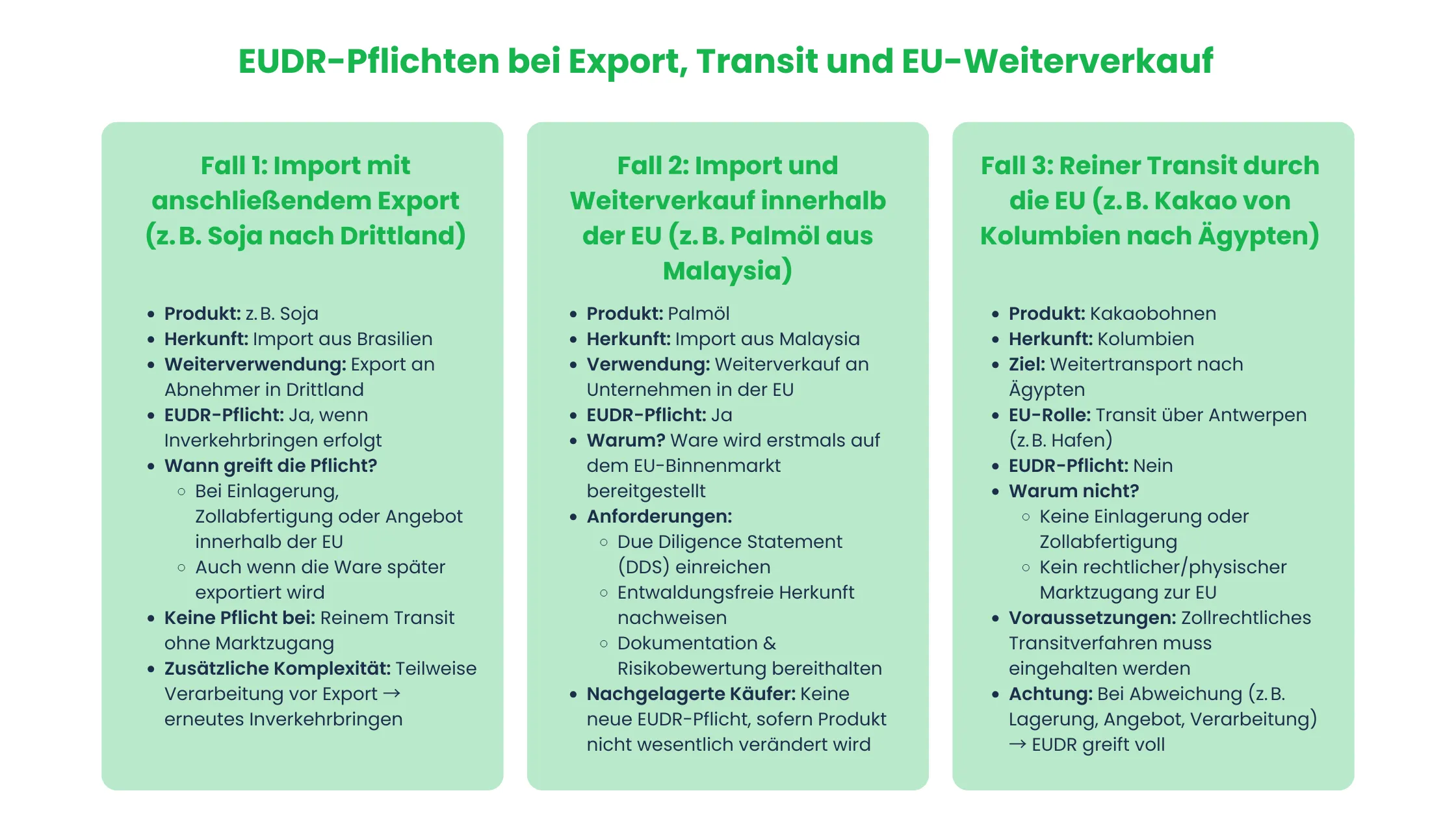 EUDR Pflichten Export