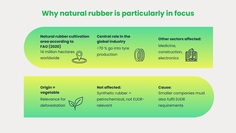 EUDR natural rubber