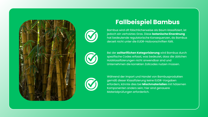 Fallbeispiel Bambus