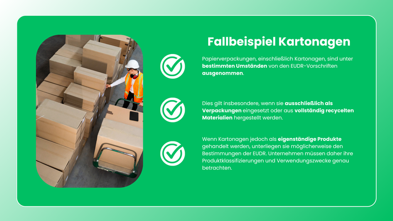 Fallbeispiel Kartonagen