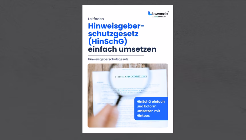 Leitfaden HinSchG Mock Up