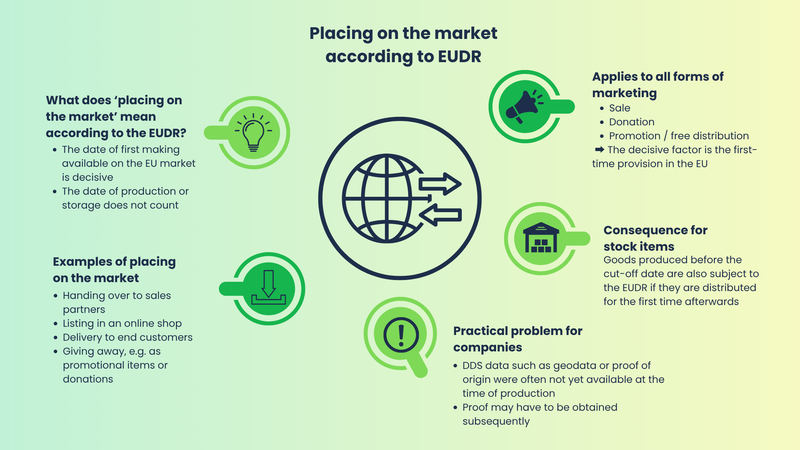 Placing on the market
