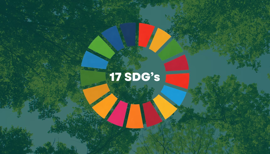 Sustainable Development Goals (SDG): 17 goals for sustainable development