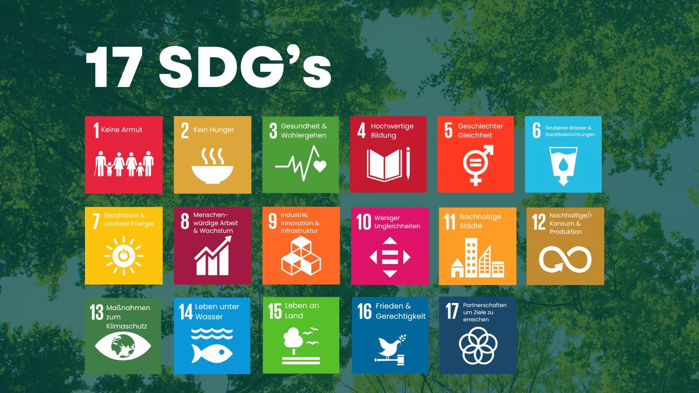 SDGS Sustainable Development Goals
