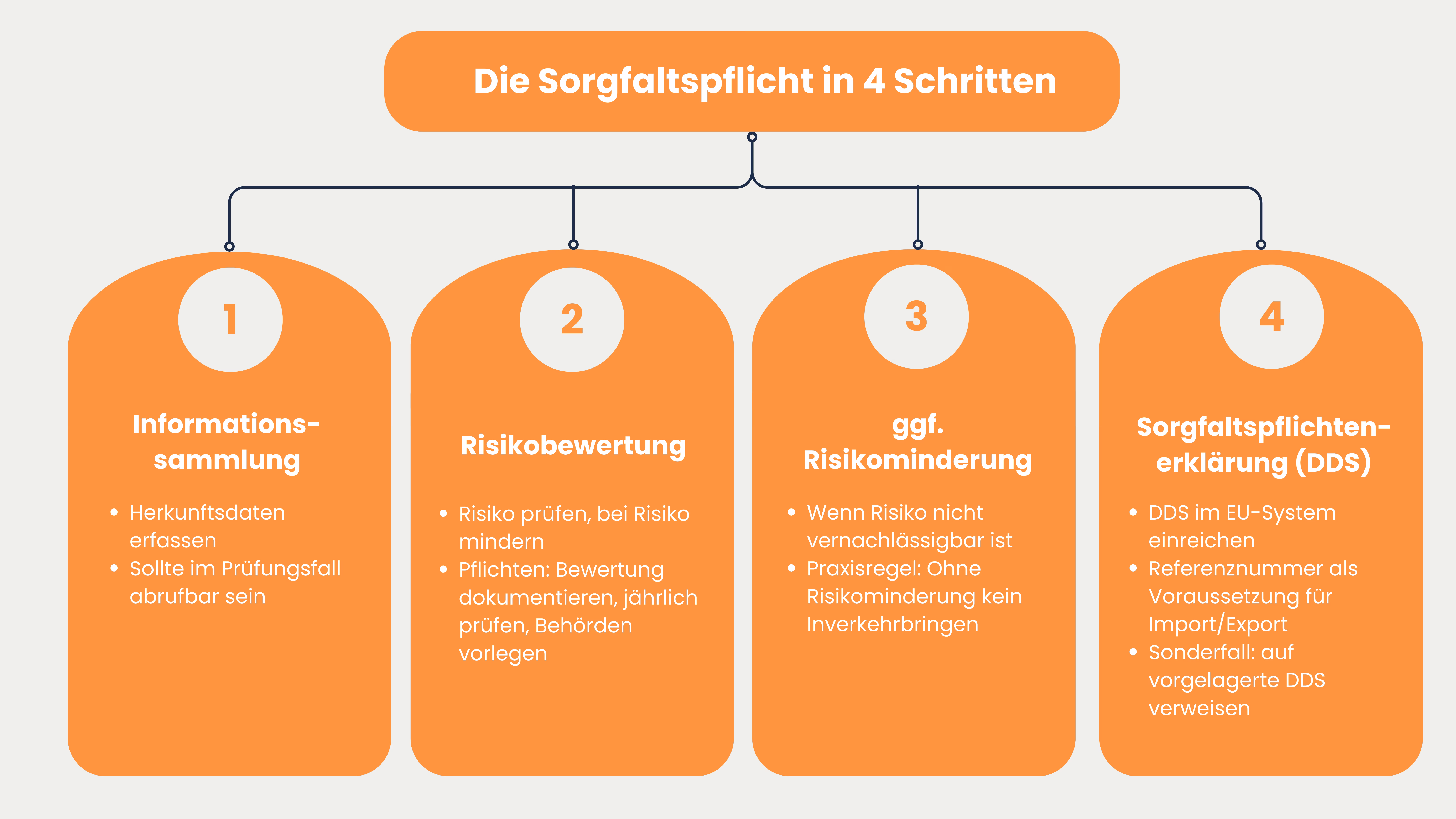 Sorgfaltspflichten EUDR