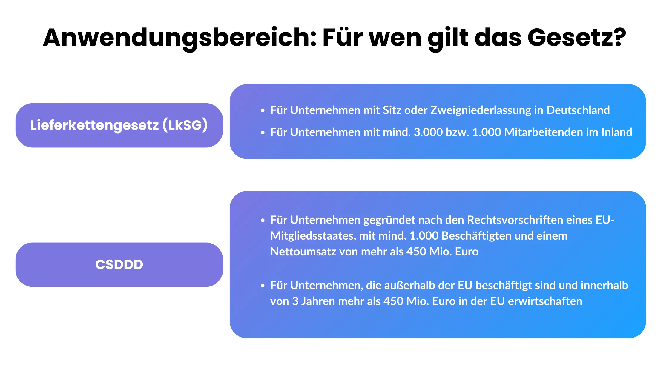 Unterschiede LkSG und CSDDD