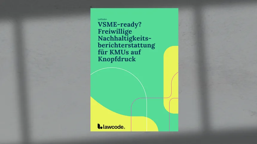 VSME-Standard Mock-up