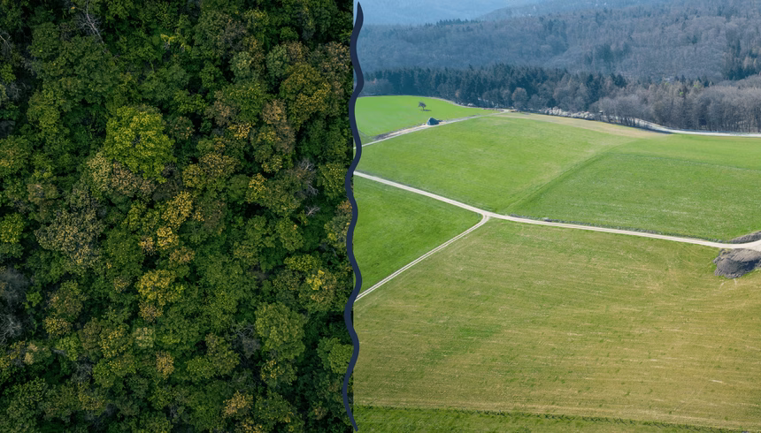 Wald, landwirtschaftliche Flächen und die rechtliche Definition: Wann fällt eine Fläche unter die EUDR?