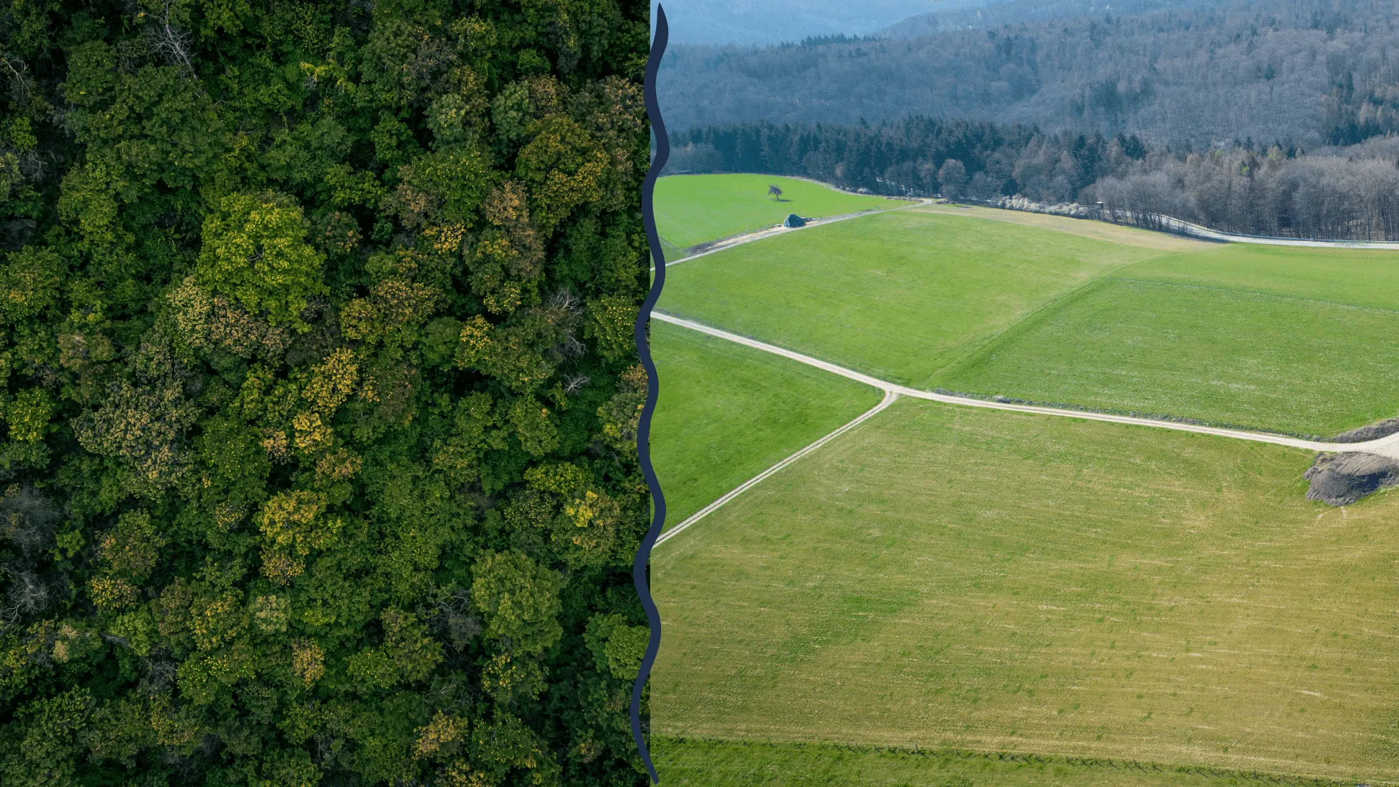 Wald landwirtschaftliche Fläche