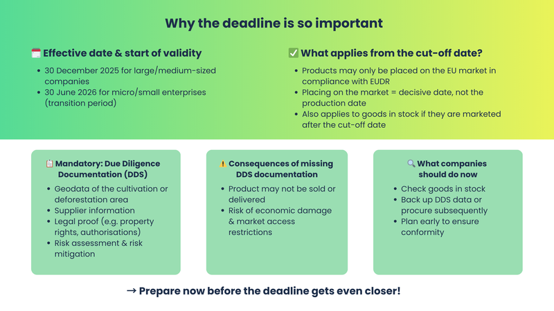 Why the deadline is so important