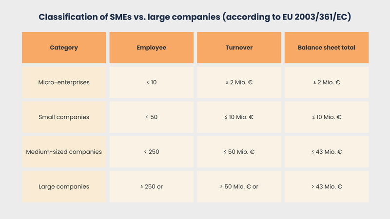 classification of sme vs large companies